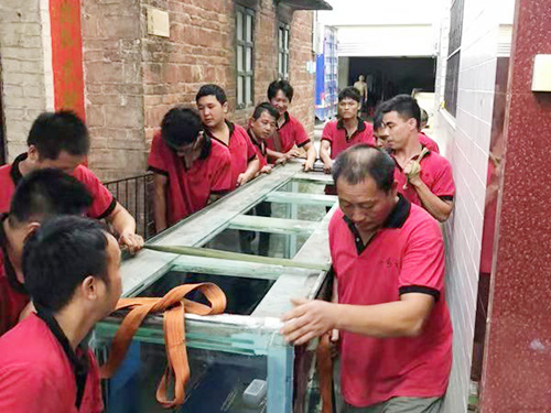 东莞鱼缸搬运